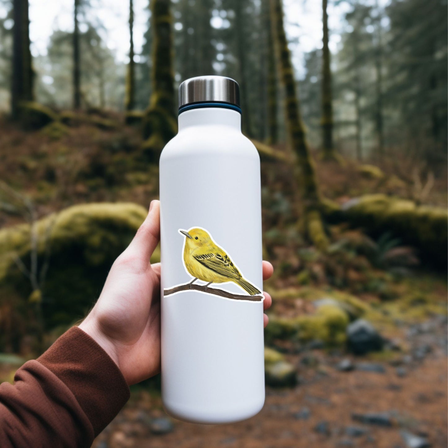 Yellow Warbler Vinyl Sticker - MerikaArt