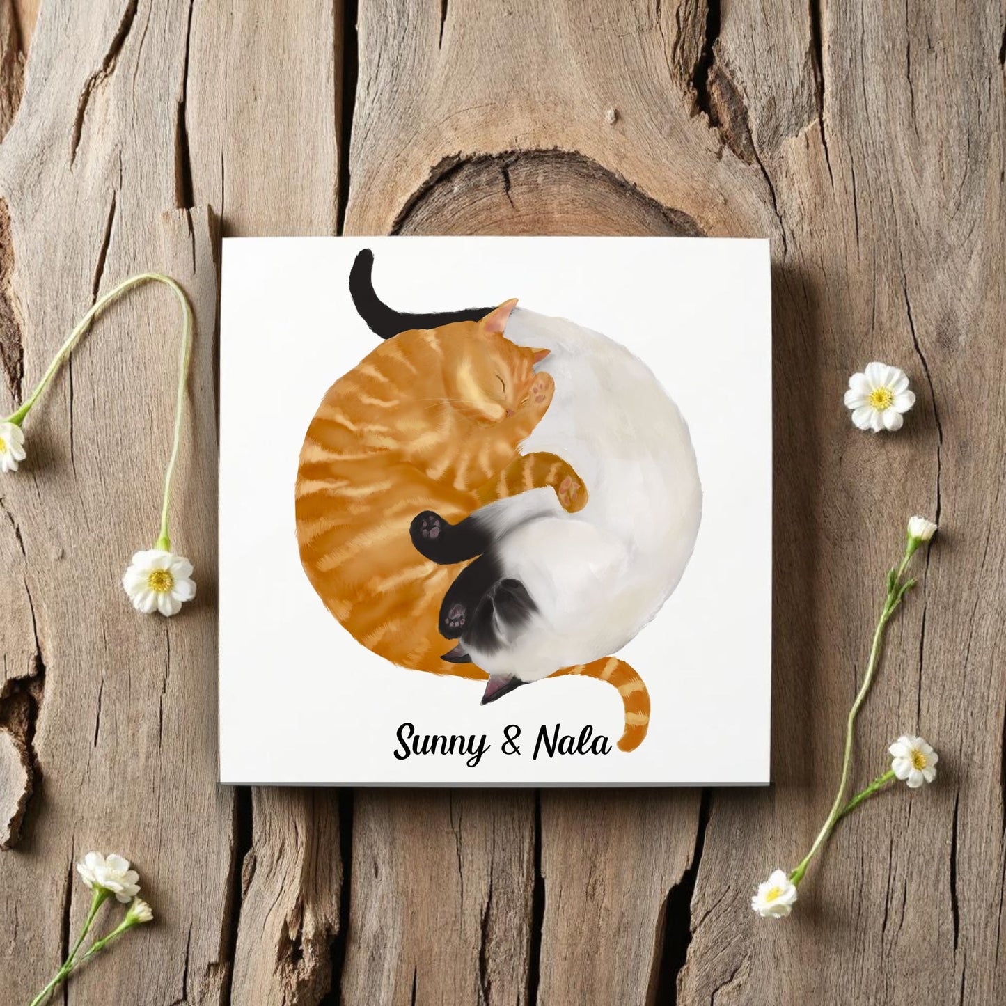 Yin and Yang Orange Tabby and Siamese Cats Ceramic Tile - MerikaArt