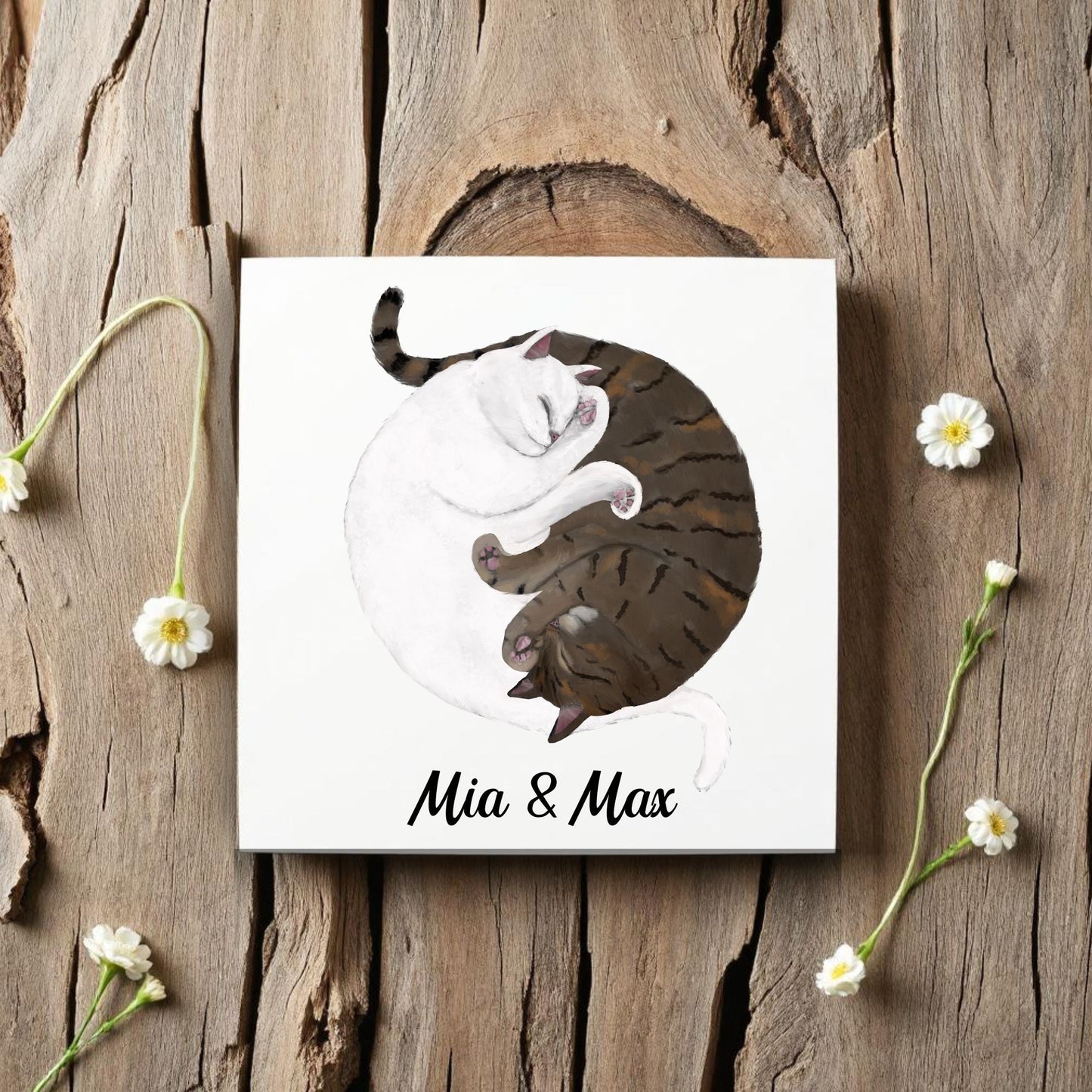 Yin and Yang Tabby Cats Ceramic Tile - MerikaArt