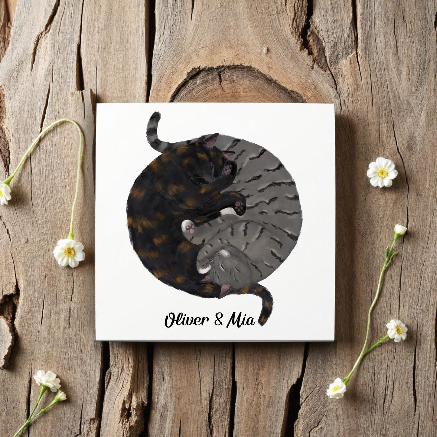 Yin and Yang Tortoiseshell and Tabby Cats Ceramic Tile - MerikaArt