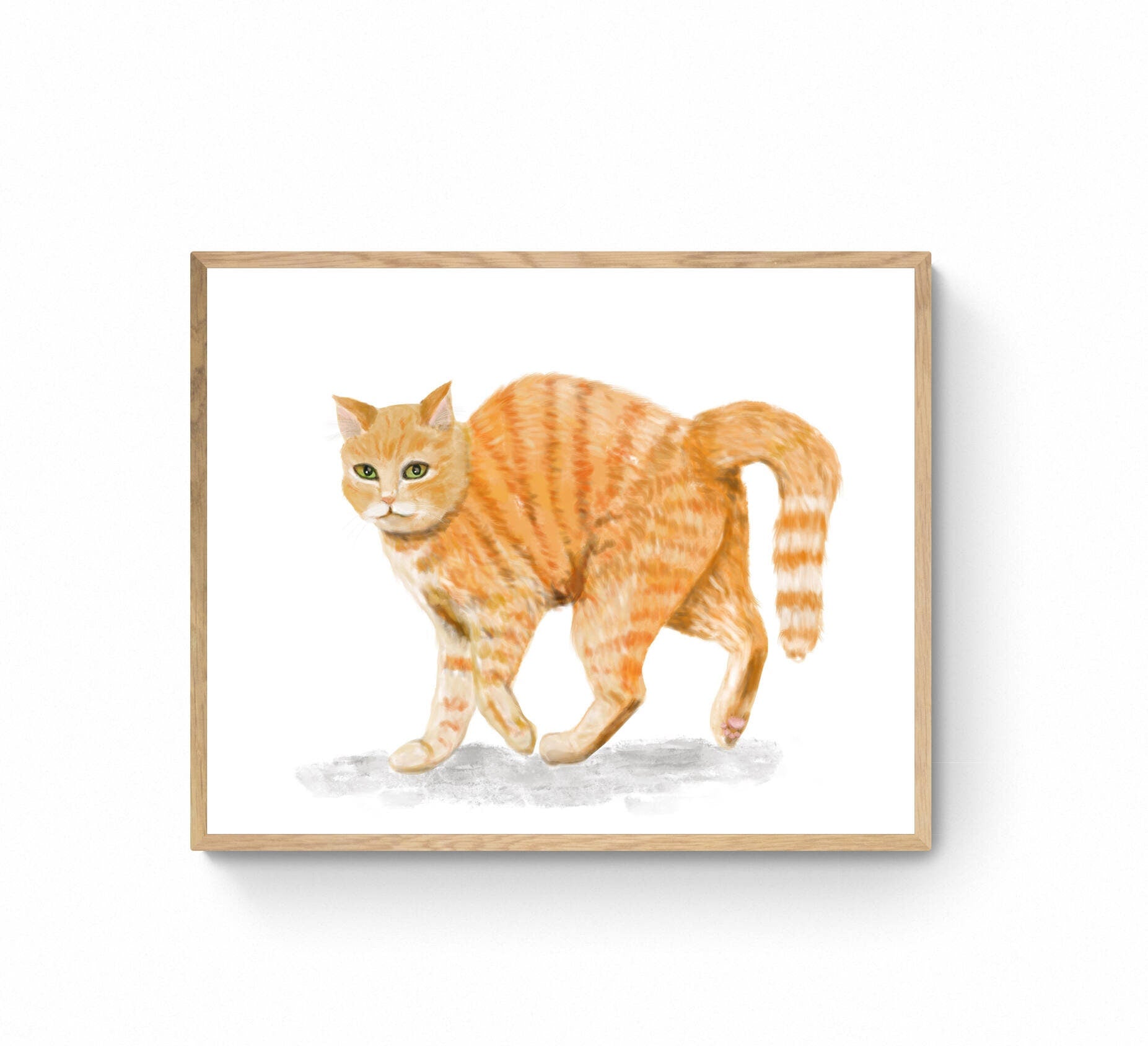 Orange Cat Print