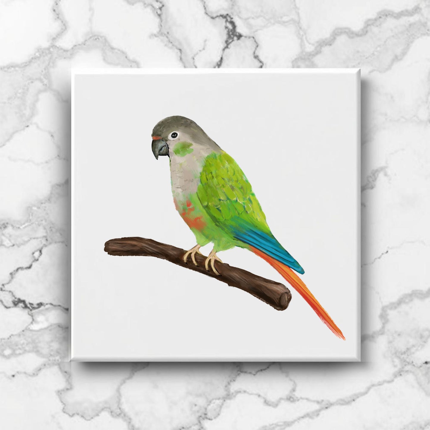 Green-Cheeked Conure Ceramic Tile – Handcrafted Bird Lover Artwork