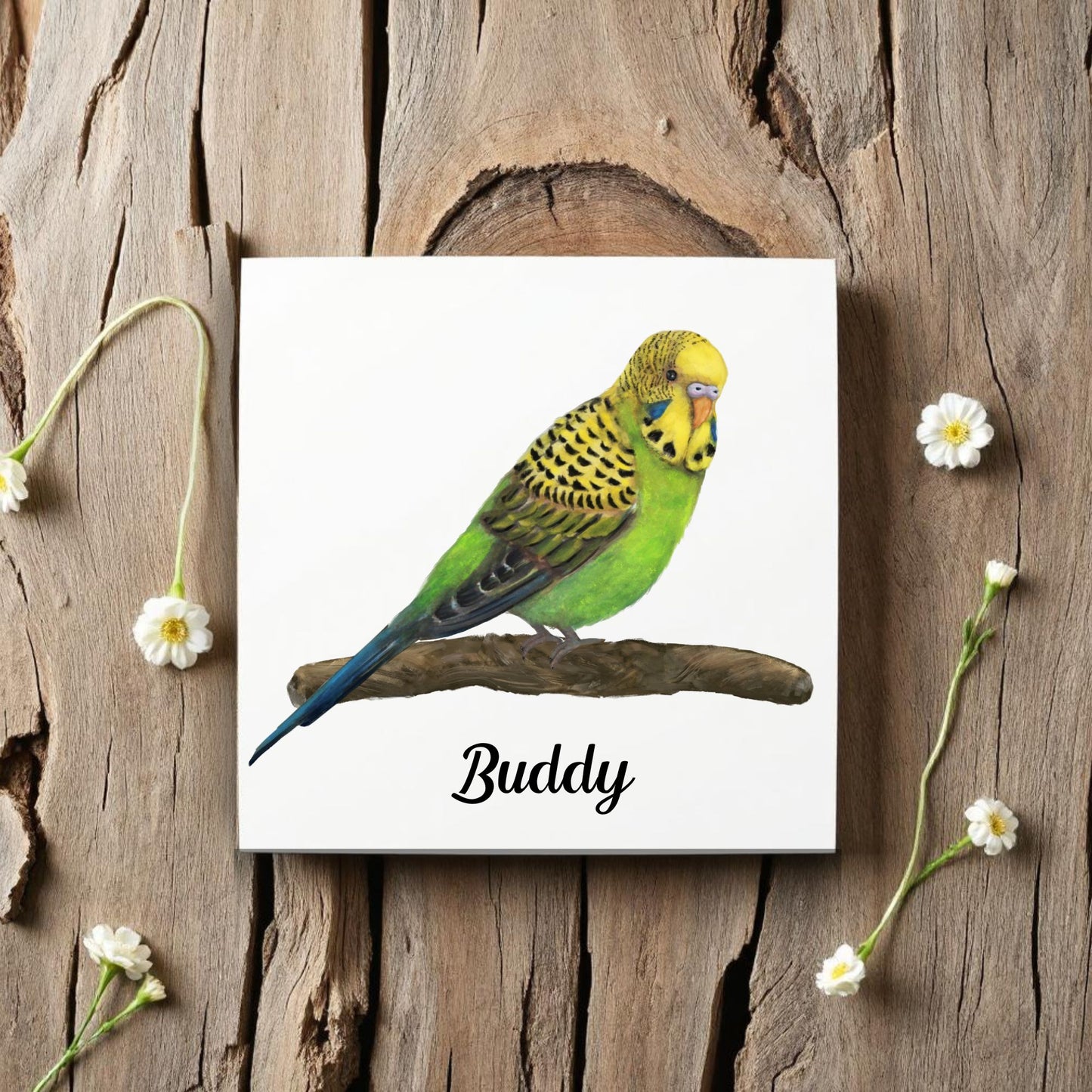 Green Budgerigar Ceramic Tile – Handcrafted Bird Lover Artwork