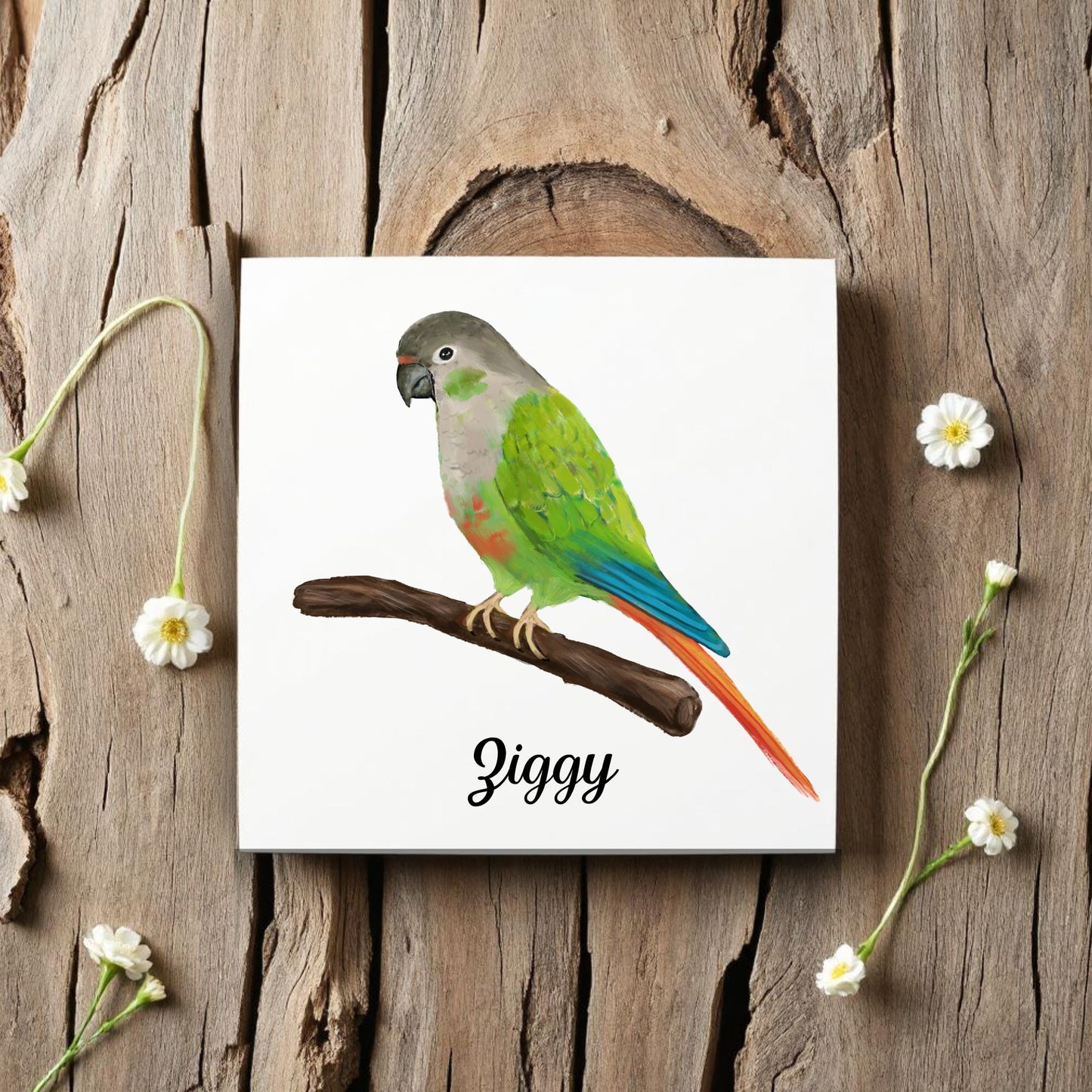 Green-Cheeked Conure Ceramic Tile – Handcrafted Bird Lover Artwork