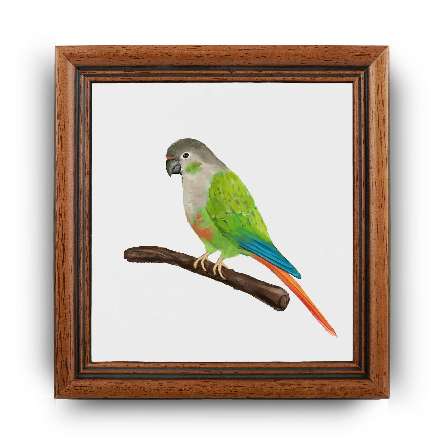 Green-Cheeked Conure Ceramic Tile – Handcrafted Bird Lover Artwork