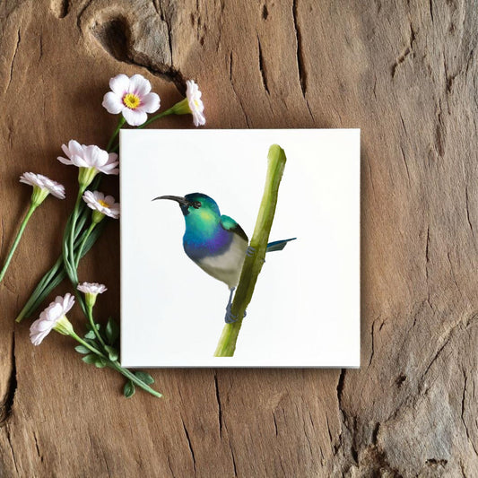 Hummingbird Ceramic Tile – Handcrafted Bird Lover Artwork