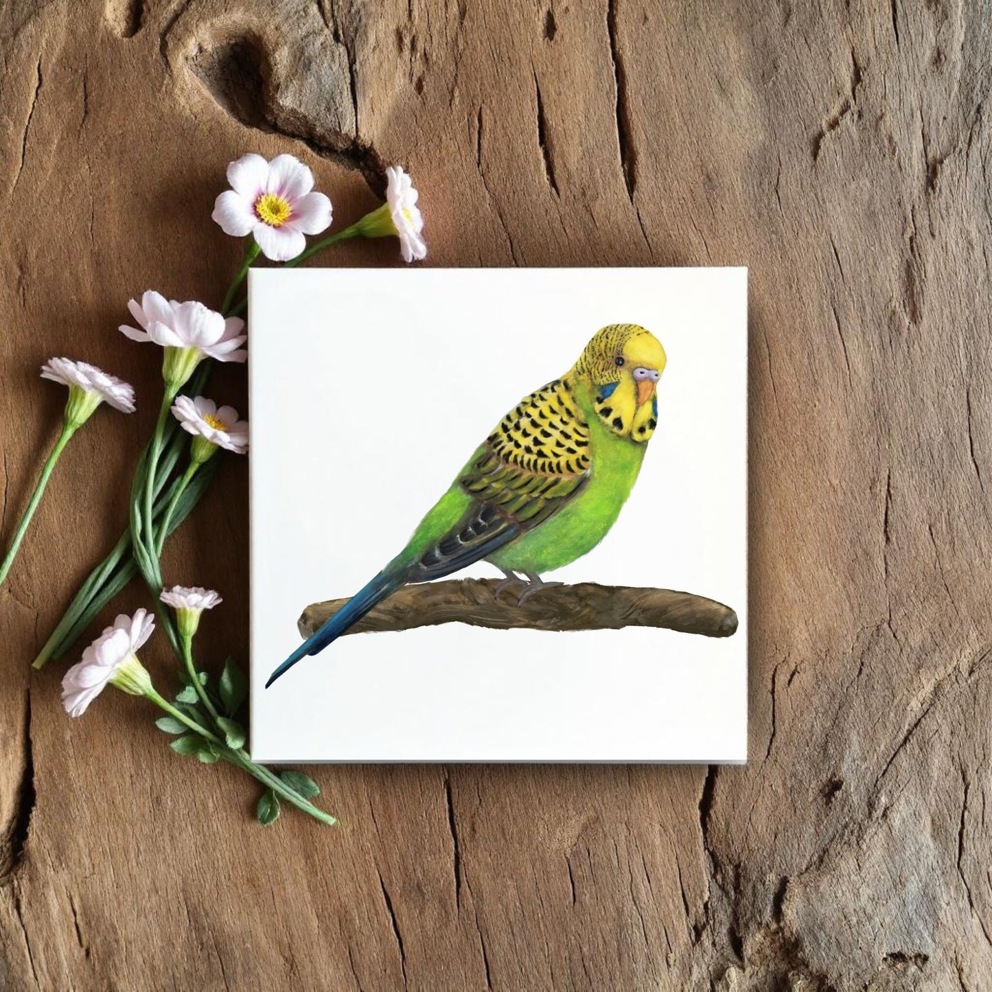 Green Budgerigar Ceramic Tile – Handcrafted Bird Lover Artwork