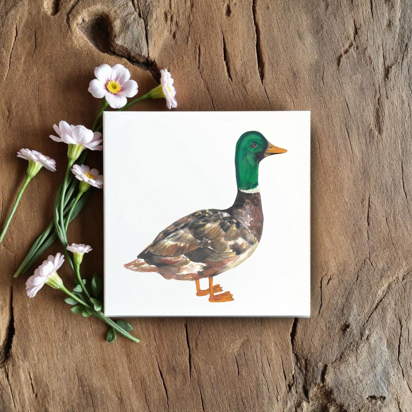 Mallard Duck Ceramic Tile – Handcrafted Bird Lover Artwork