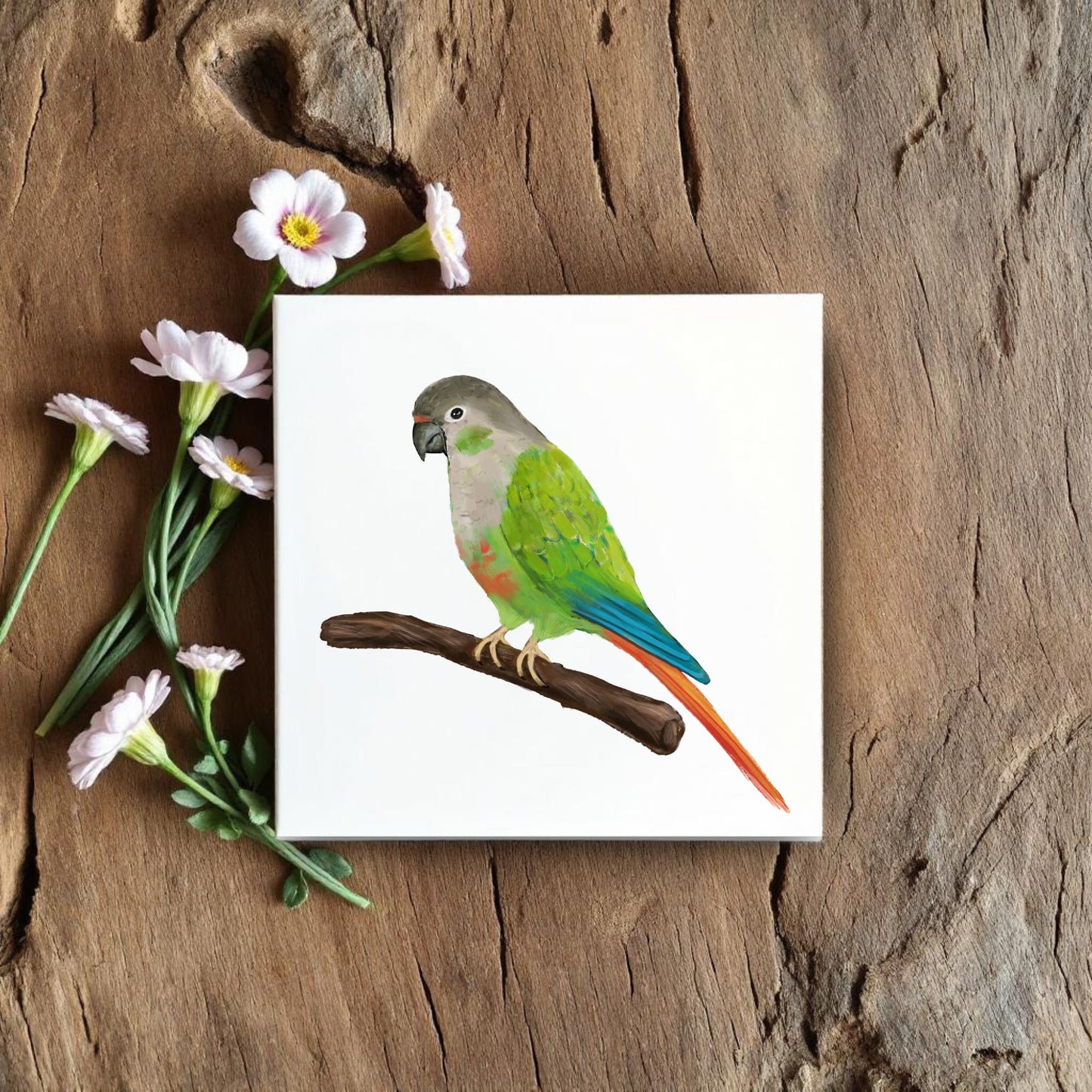 Green-Cheeked Conure Ceramic Tile – Handcrafted Bird Lover Artwork