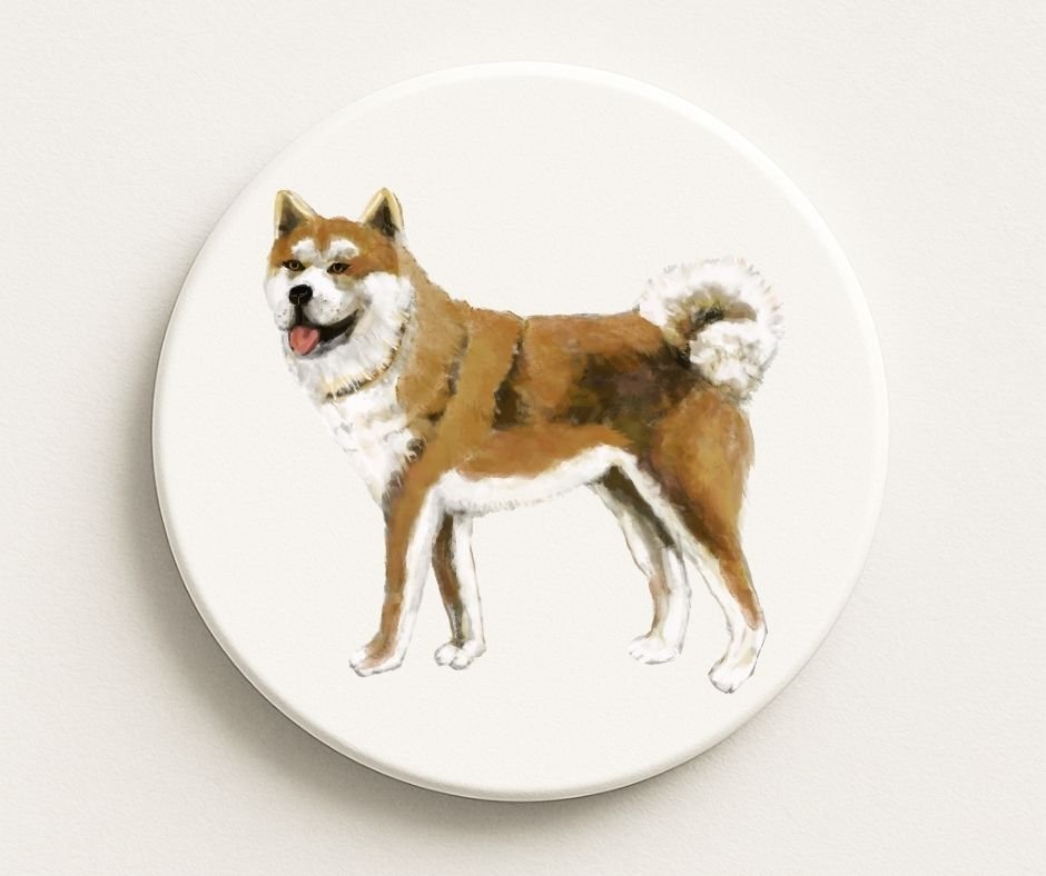 Akita Dog Ceramic Coaster - MerikaArt