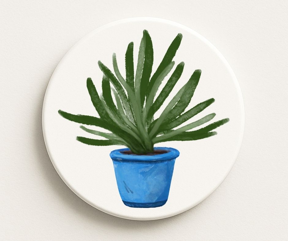 Aloe Vera Ceramic Coaster - MerikaArt