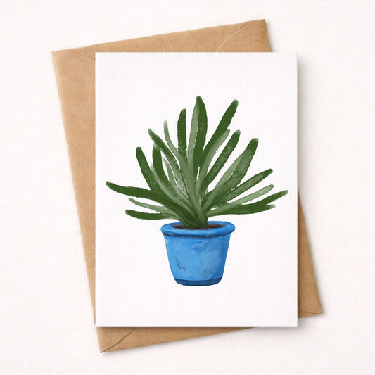 Aloe Vera Postcard - MerikaArt
