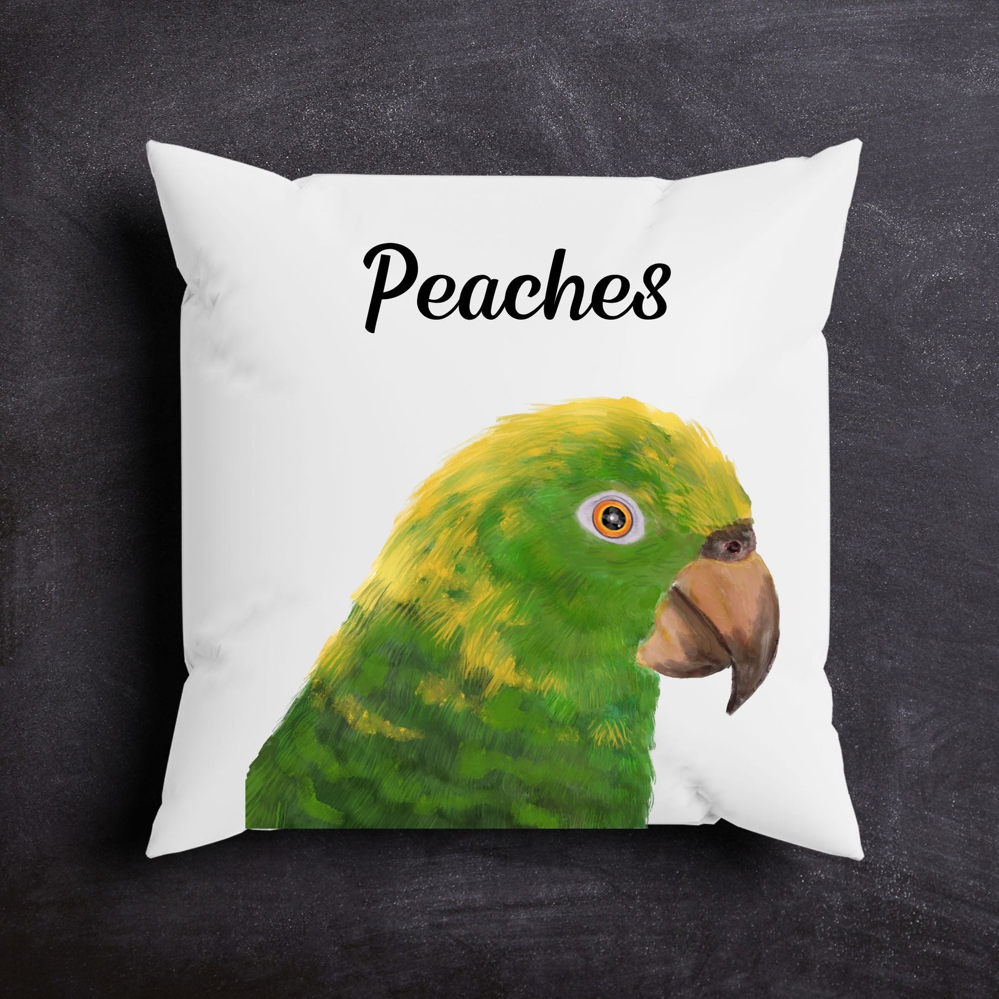 Amazon Parrot Bird Pillow - MerikaArt