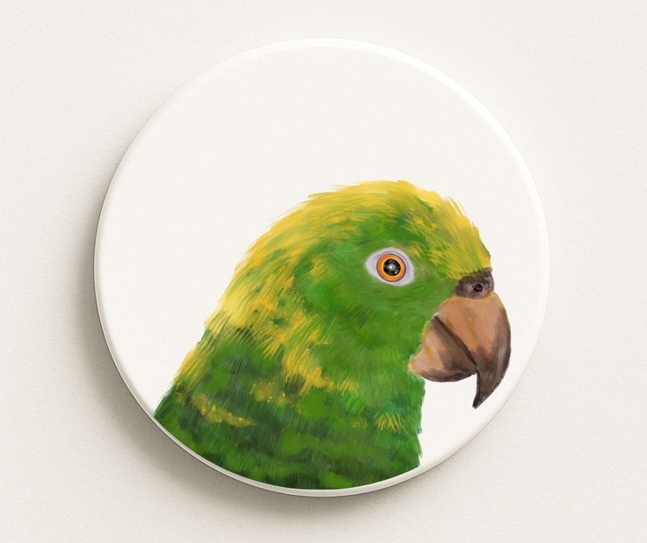 Amazon Parrot Portrait Ceramic Coaster - MerikaArt