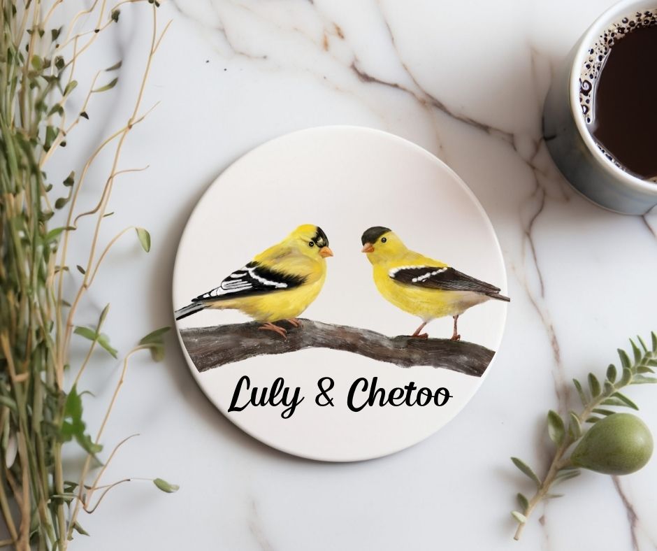 American Goldfinch Birds Ceramic Coaster - MerikaArt