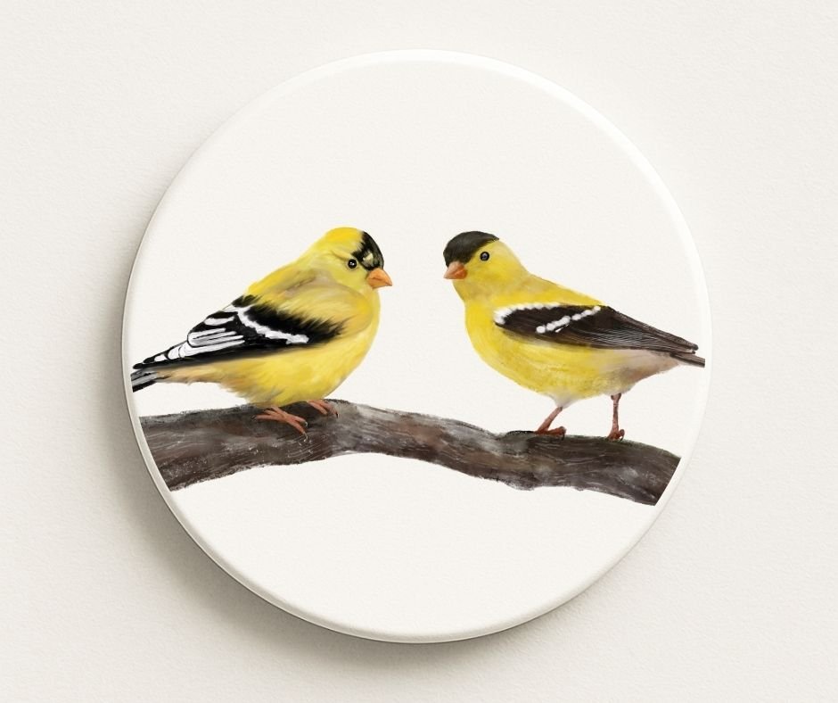 American Goldfinch Birds Ceramic Coaster - MerikaArt