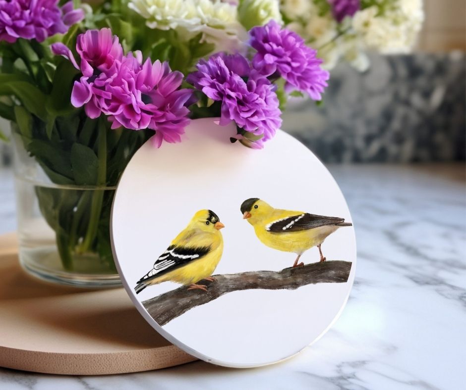 American Goldfinch Birds Ceramic Coaster - MerikaArt