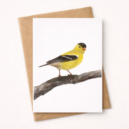 American Goldfinch Postcard - MerikaArt