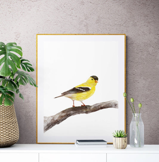 American Goldfinch Print - MerikaArt