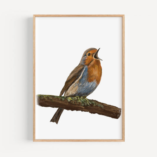 American Robin Singing Art Print – Charming Bird Decor for Nature Enthusiasts - MerikaArt