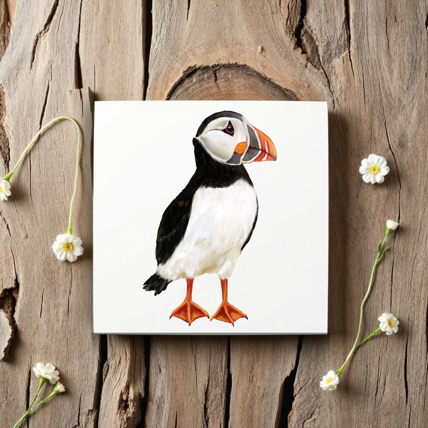 Atlantic Puffin Ceramic Tile - MerikaArt