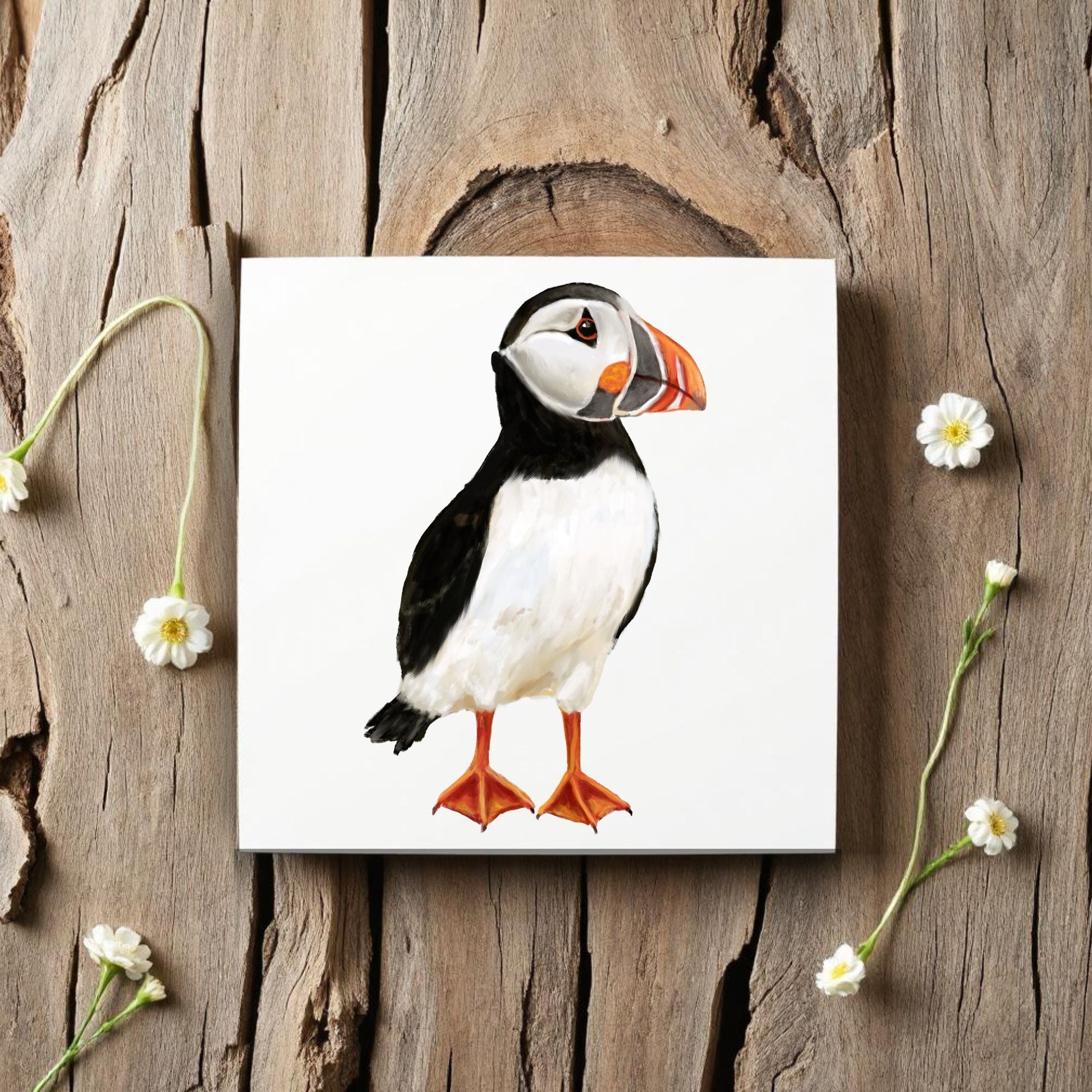 Atlantic Puffin Ceramic Tile - MerikaArt