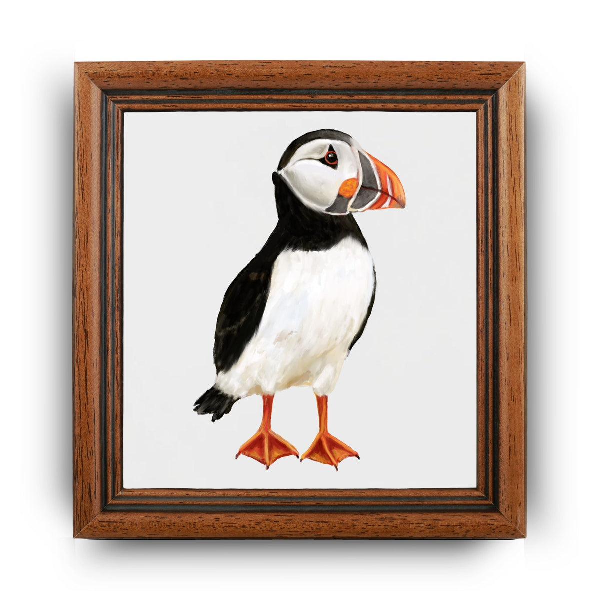 Atlantic Puffin Ceramic Tile - MerikaArt
