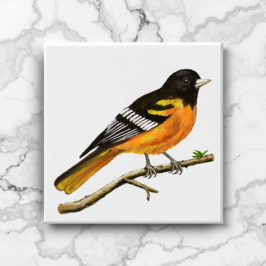 Baltimore Oriole Ceramic Tile - MerikaArt