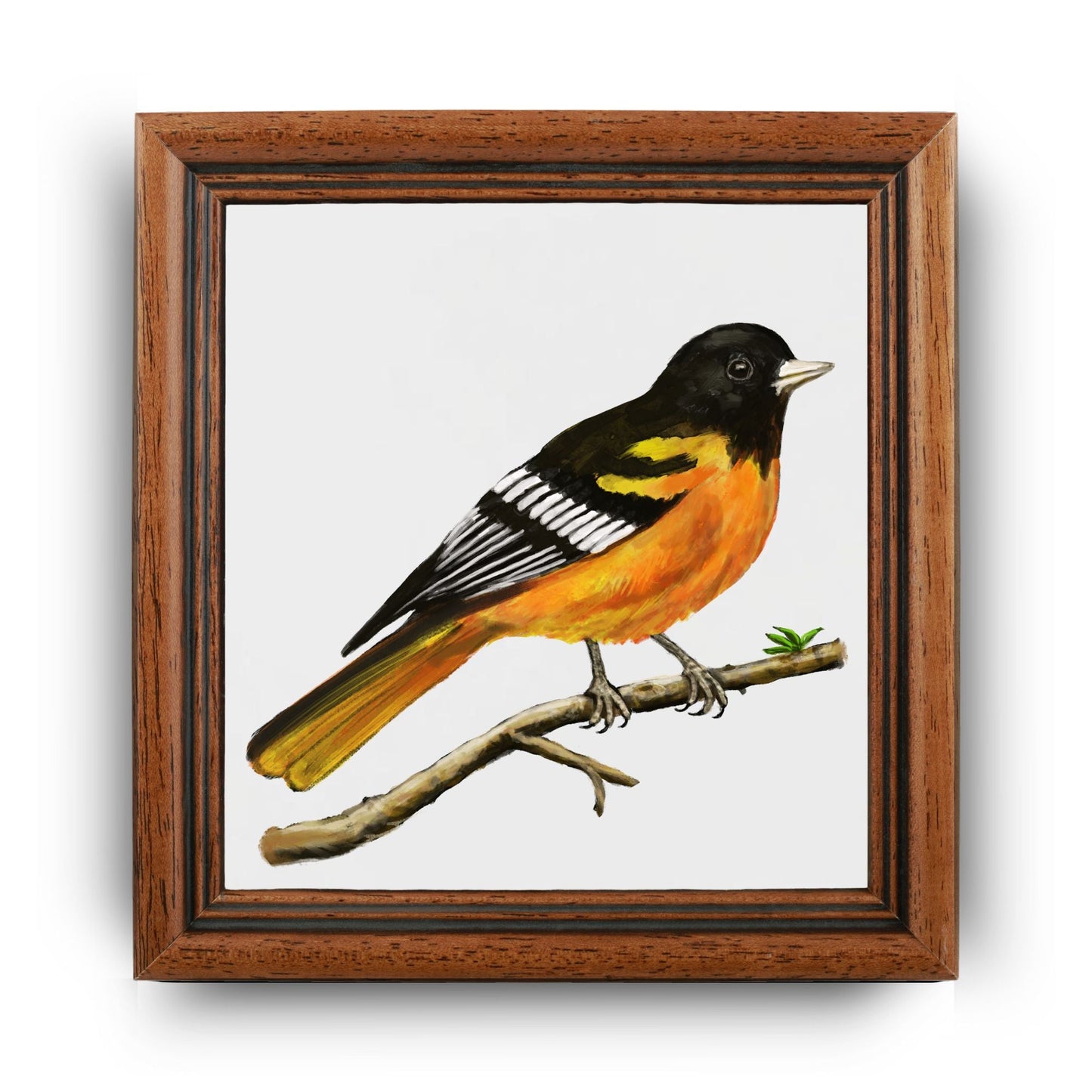 Baltimore Oriole Ceramic Tile - MerikaArt