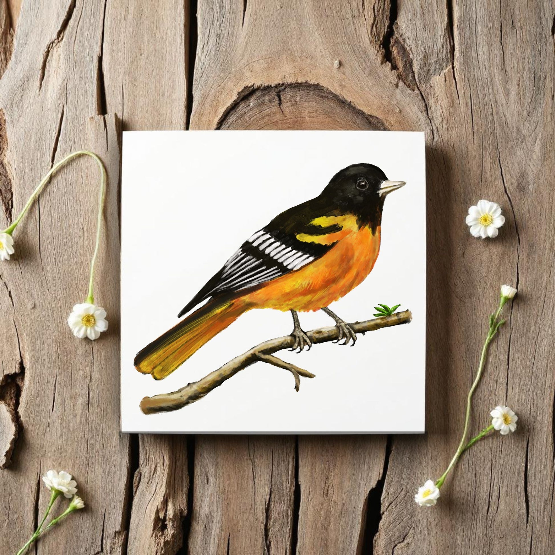 Baltimore Oriole Ceramic Tile - MerikaArt