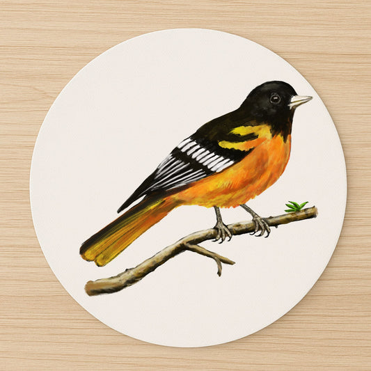 Baltimore Oriole Mousepad - MerikaArt