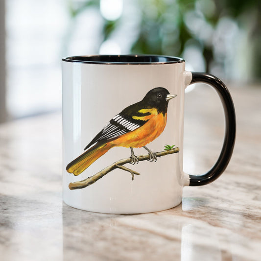 Baltimore Oriole Mug - MerikaArt