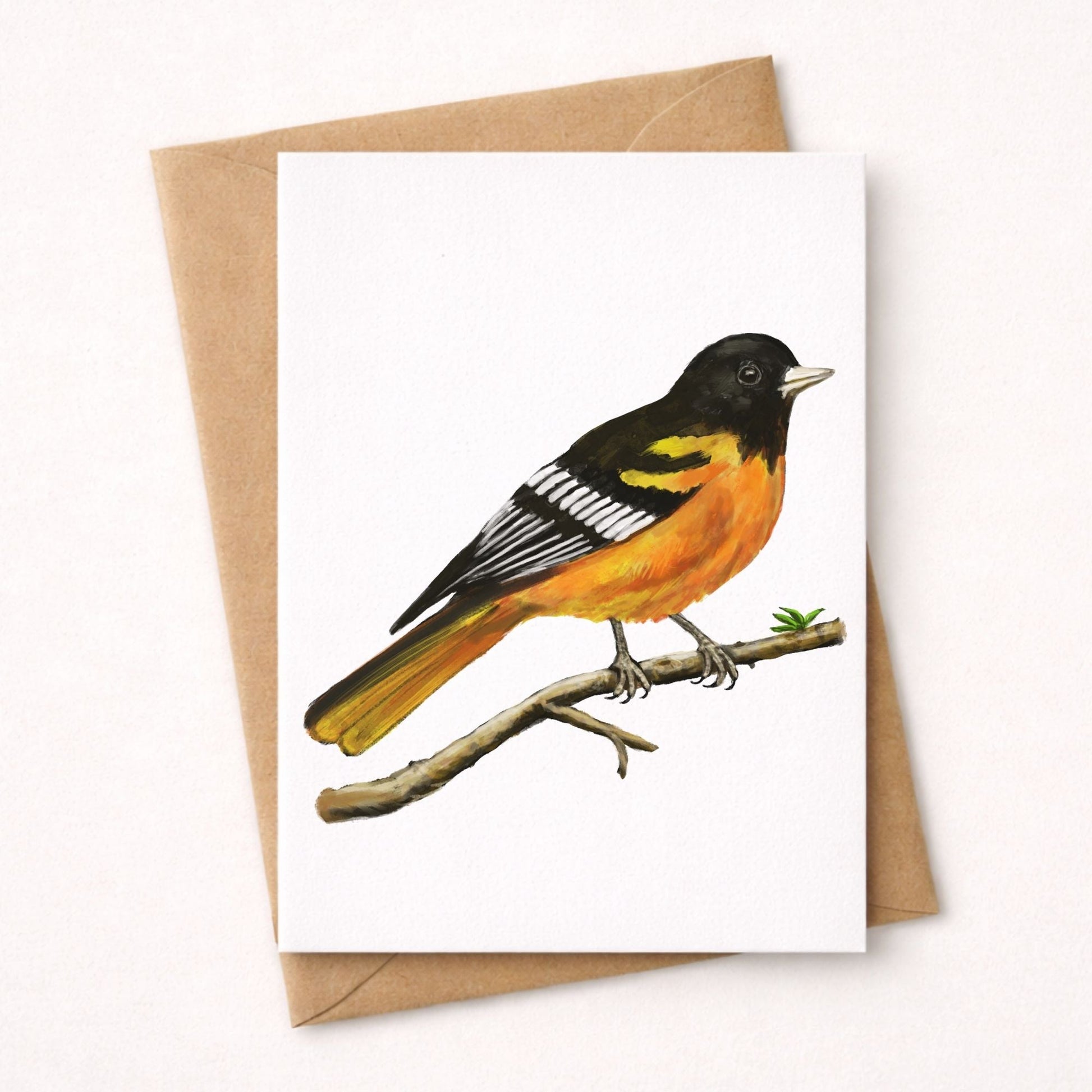 Baltimore Oriole Postcard - MerikaArt