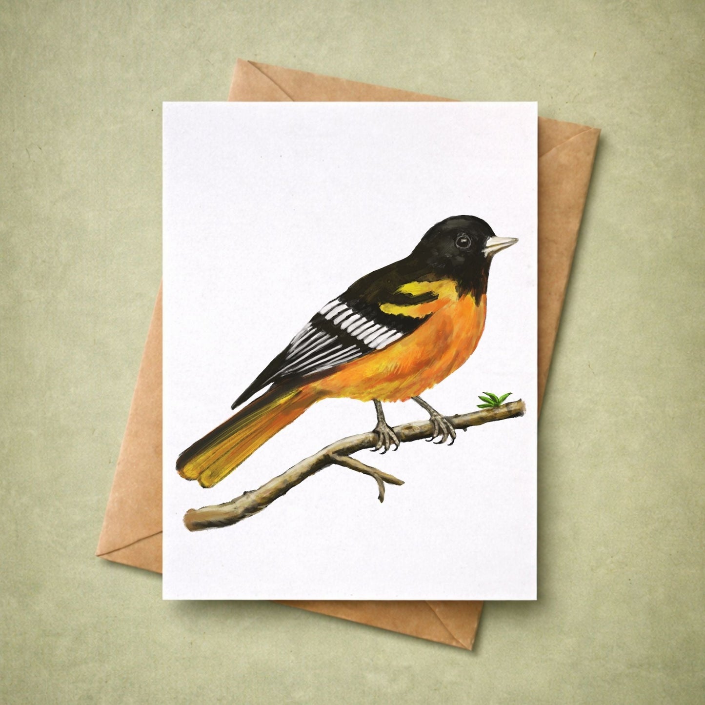 Baltimore Oriole Postcard - MerikaArt