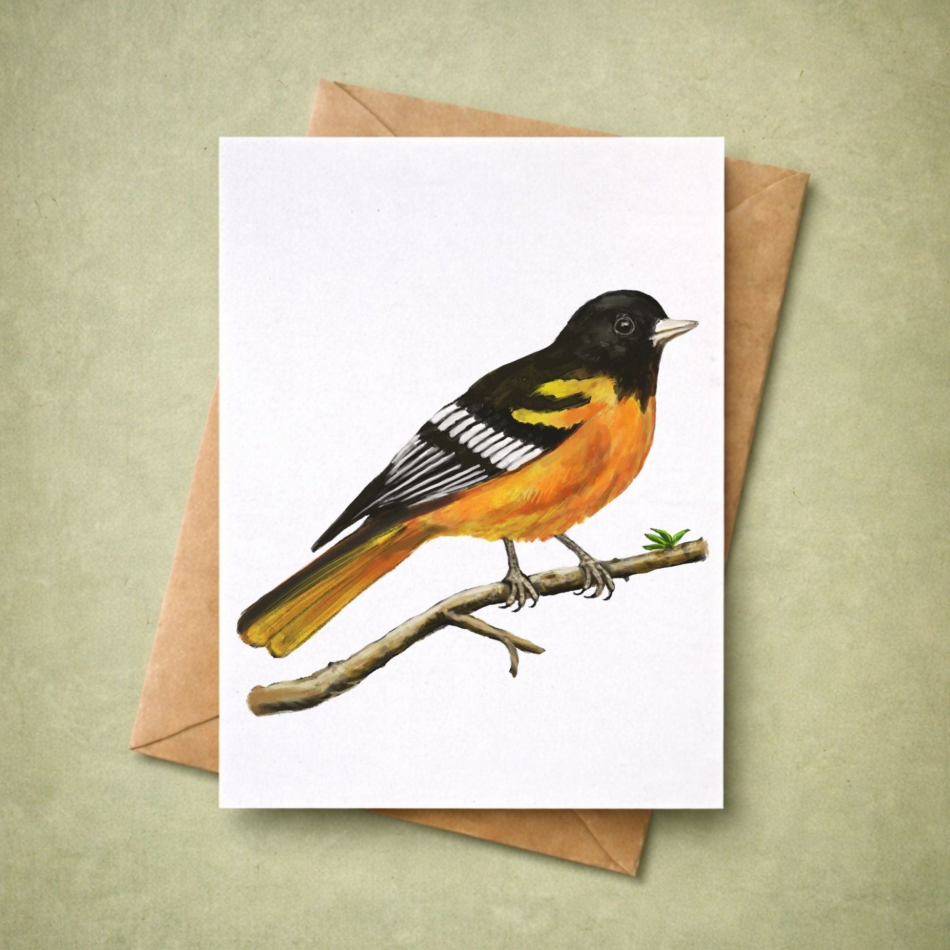 Baltimore Oriole Postcard - MerikaArt