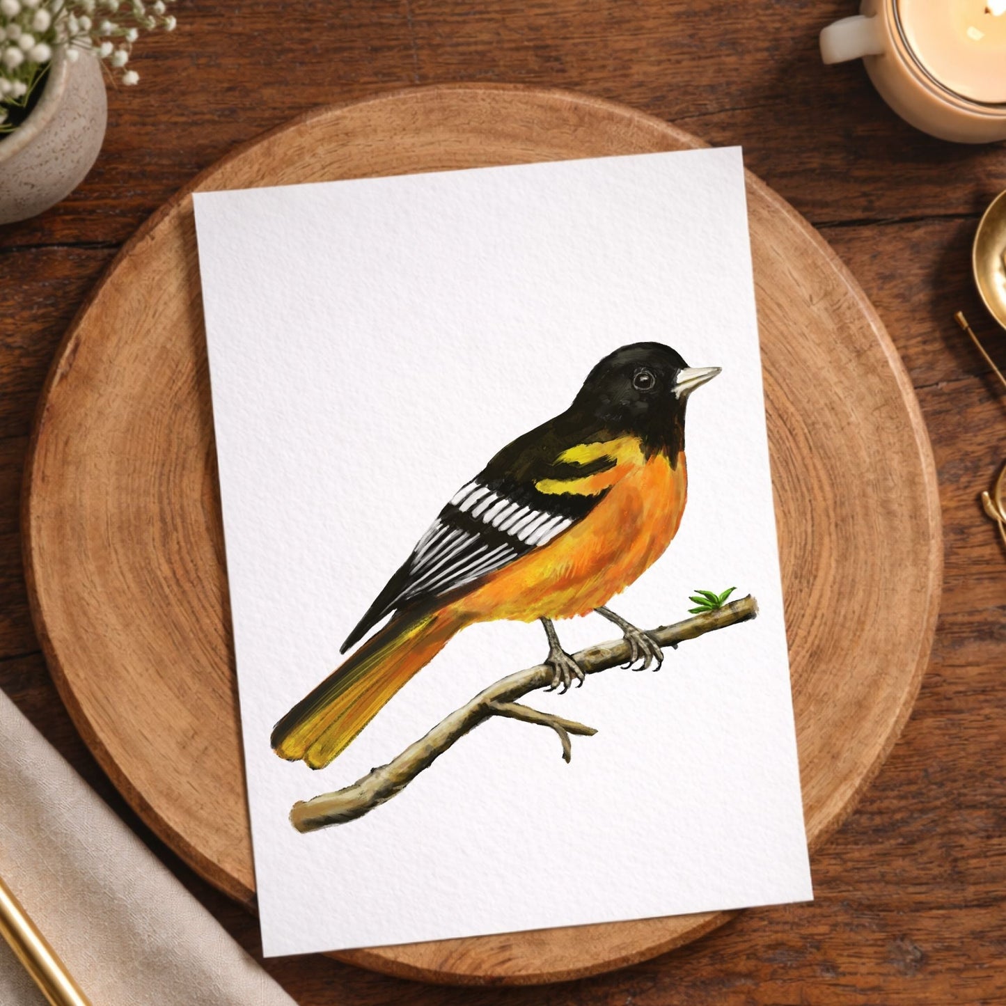 Baltimore Oriole Postcard - MerikaArt