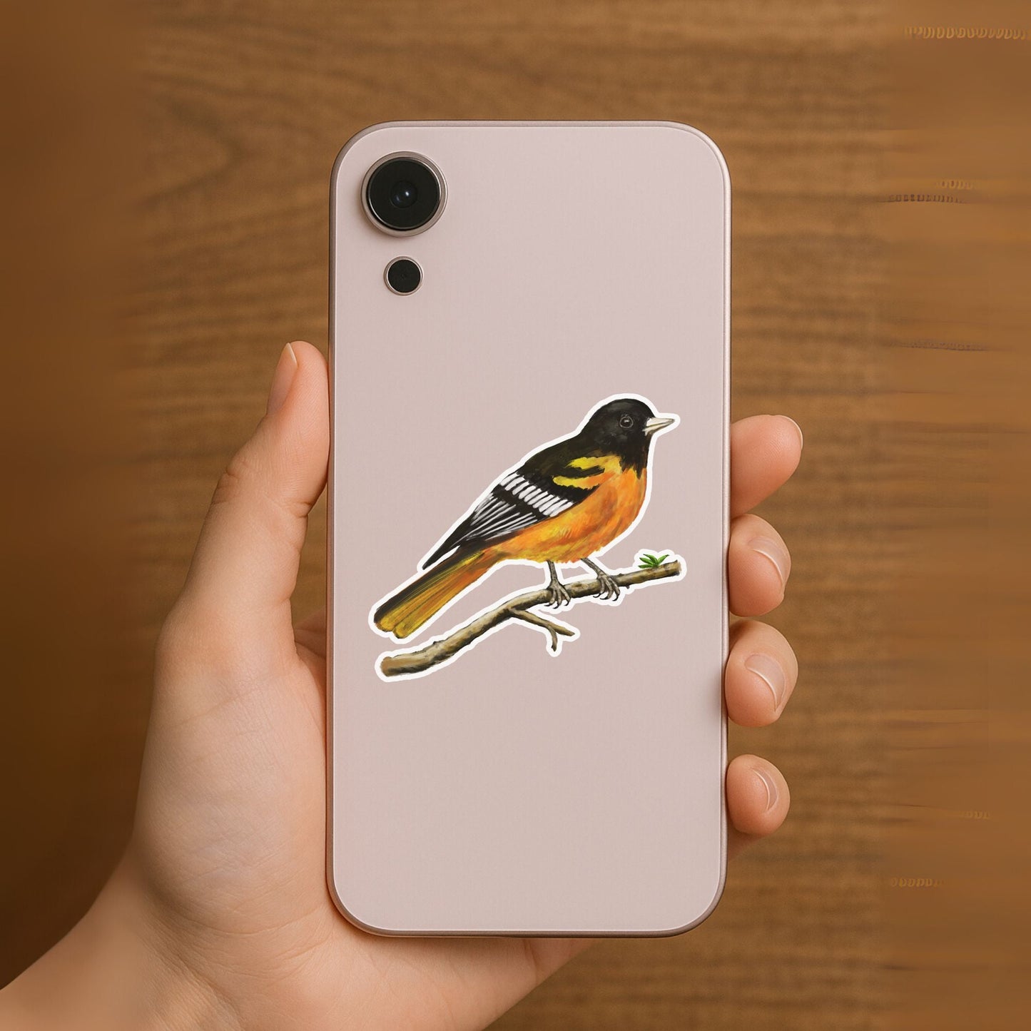 Baltimore Oriole Sticker - MerikaArt