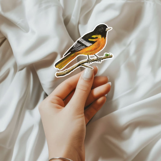 Baltimore Oriole Sticker - MerikaArt