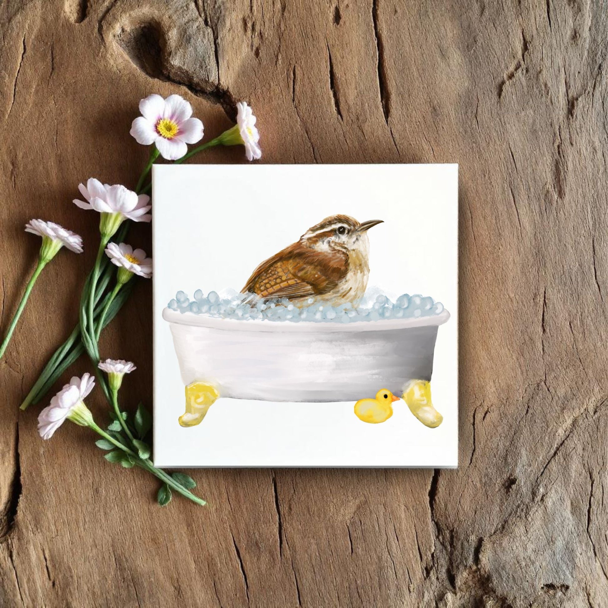 Bathing Carolina Wren Ceramic Tile – Adorable Handcrafted Decor - MerikaArt