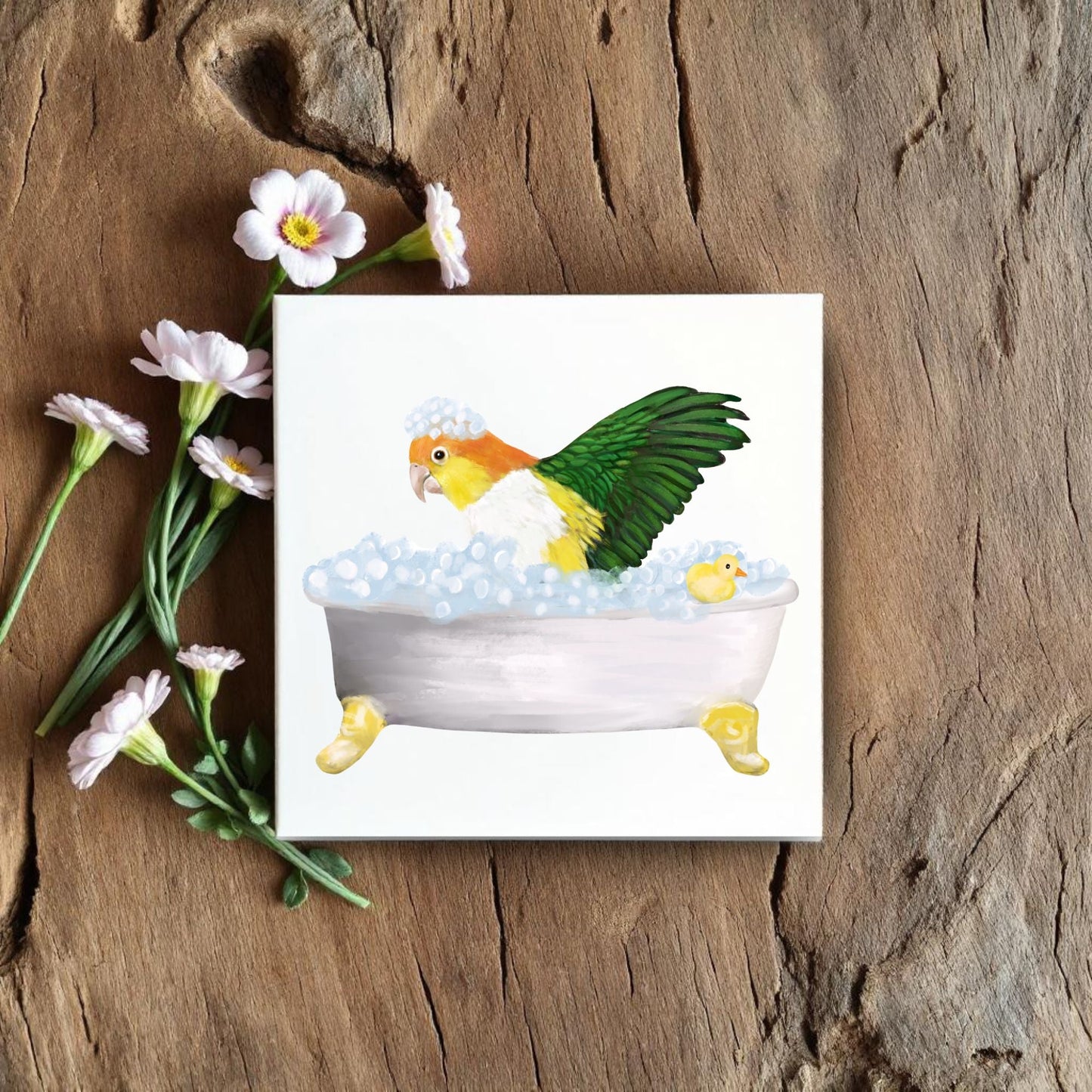 Bathtub Parrot Ceramic Tile – Handcrafted Fun Bird Art - MerikaArt