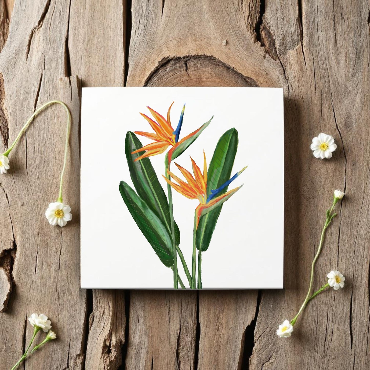 Bird of Paradise Flower Ceramic Tile - MerikaArt