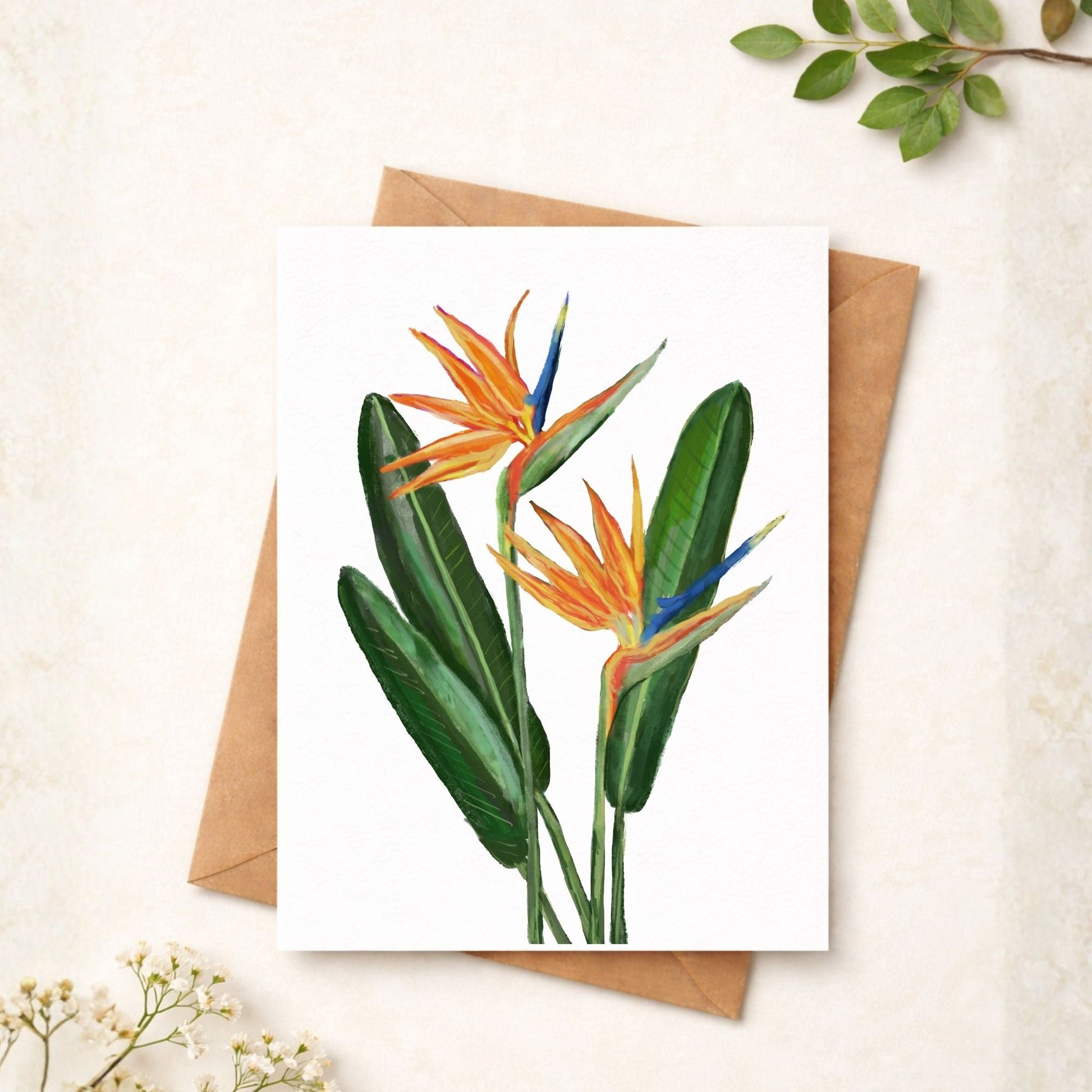 Bird of Paradise Flower Postcard - MerikaArt