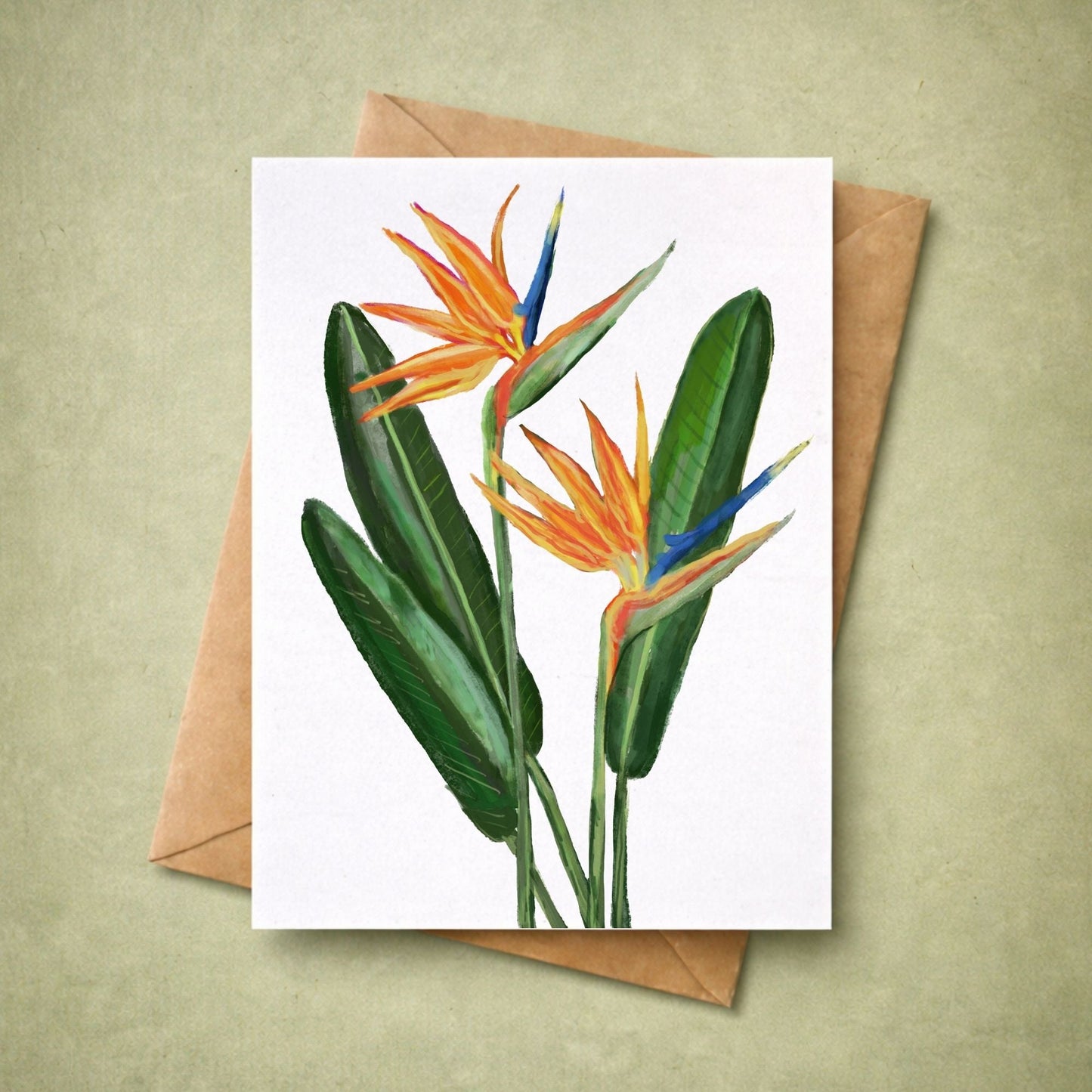Bird of Paradise Flower Postcard - MerikaArt