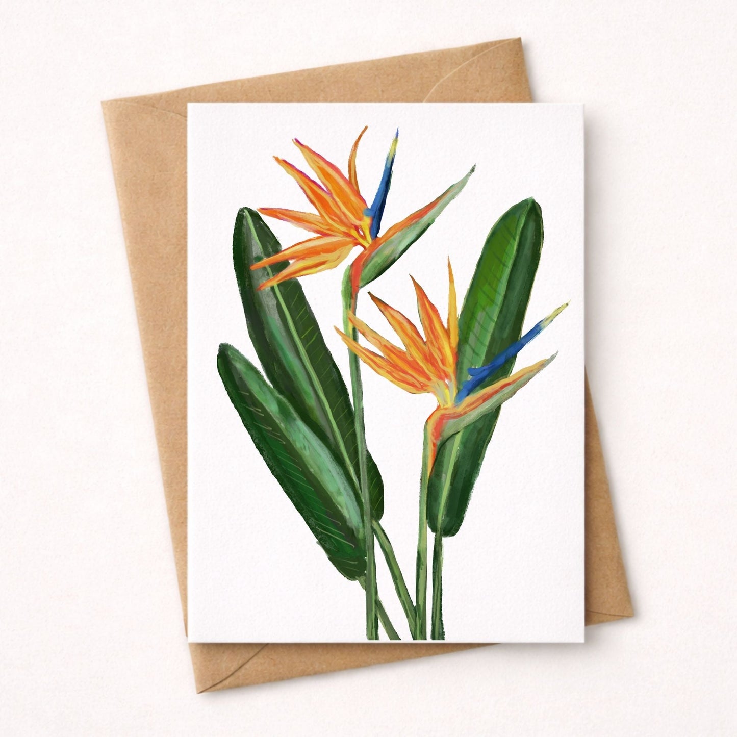Bird of Paradise Flower Postcard - MerikaArt