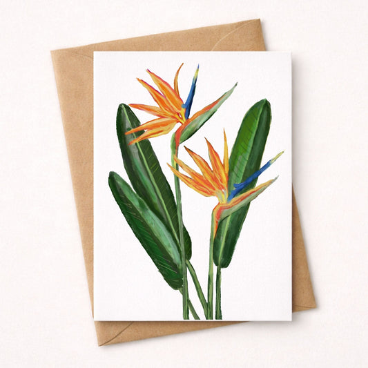 Bird of Paradise Flower Postcard - MerikaArt