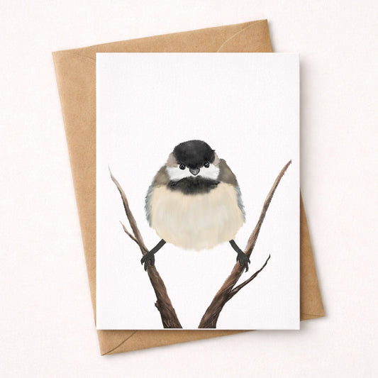 Black Capped Chickadee Postcard - MerikaArt