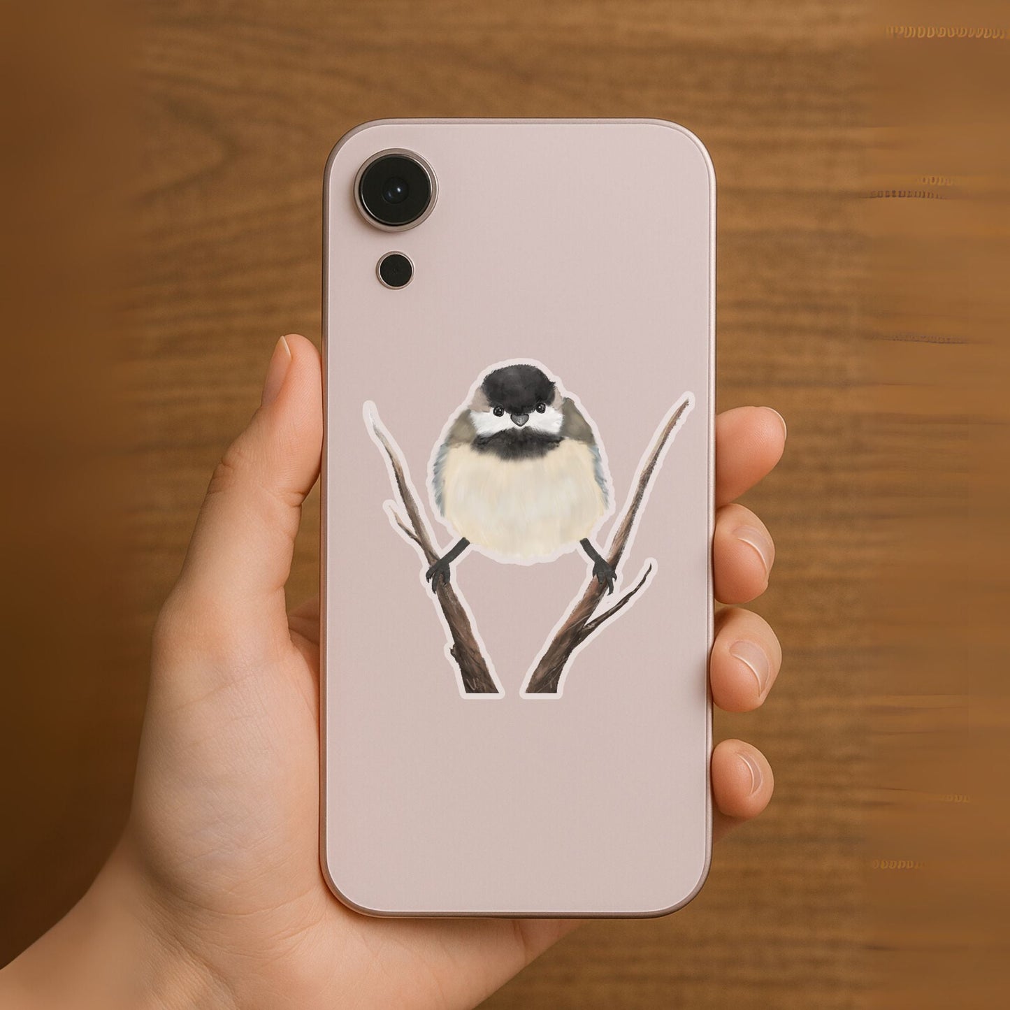 Black - capped Chickadee Sticker - MerikaArt