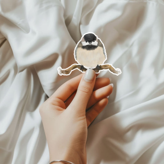 Black - Capped Chickadee Vinyl Sticker - MerikaArt