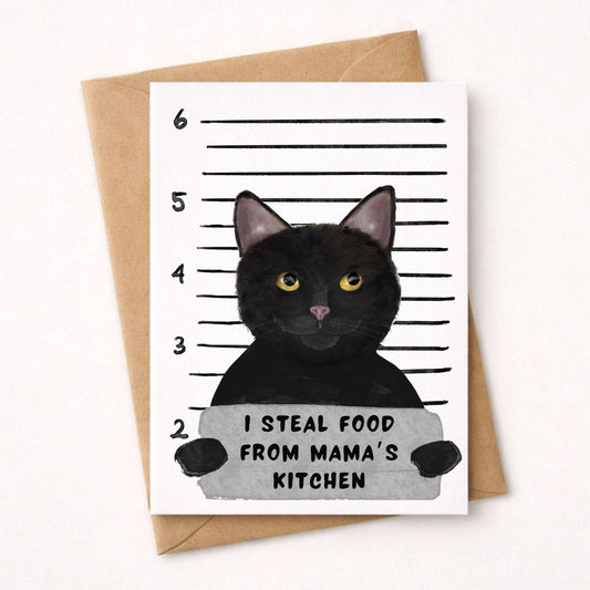 Black Cat Mugshot Postcard - MerikaArt