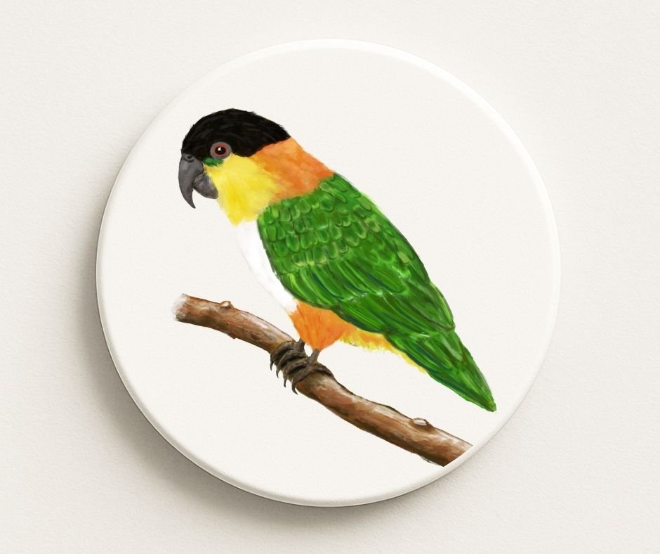Black - headed Caique Ceramic Coaster - MerikaArt